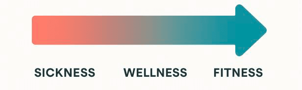 Fitness Entwicklung als Prozess Fitness Entwicklung als Prozess